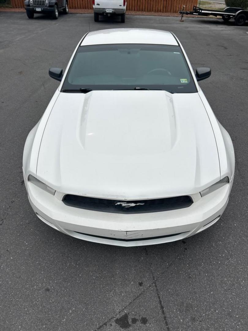 2010 WHITE FORD MUSTANG COUPE (1ZVBP8AN7A5) with an 4.0L engine, 5-Speed Manual transmission, located at 2514 Williamson Rd NE, Roanoke, VA, 24012, (540) 265-7770, 37.294636, -79.936249 - Photo#1