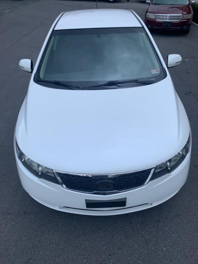 2012 WHITE KIA FORTE EX (KNAFU4A28C5) with an 2.0L engine, Automatic transmission, located at 2514 Williamson Rd NE, Roanoke, VA, 24012, (540) 265-7770, 37.294636, -79.936249 - Photo#2