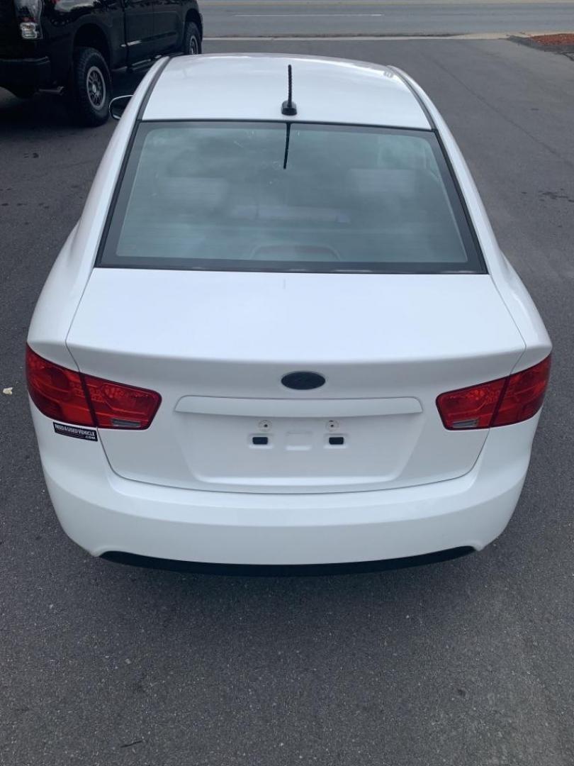 2012 WHITE KIA FORTE EX (KNAFU4A28C5) with an 2.0L engine, Automatic transmission, located at 2514 Williamson Rd NE, Roanoke, VA, 24012, (540) 265-7770, 37.294636, -79.936249 - Photo#4