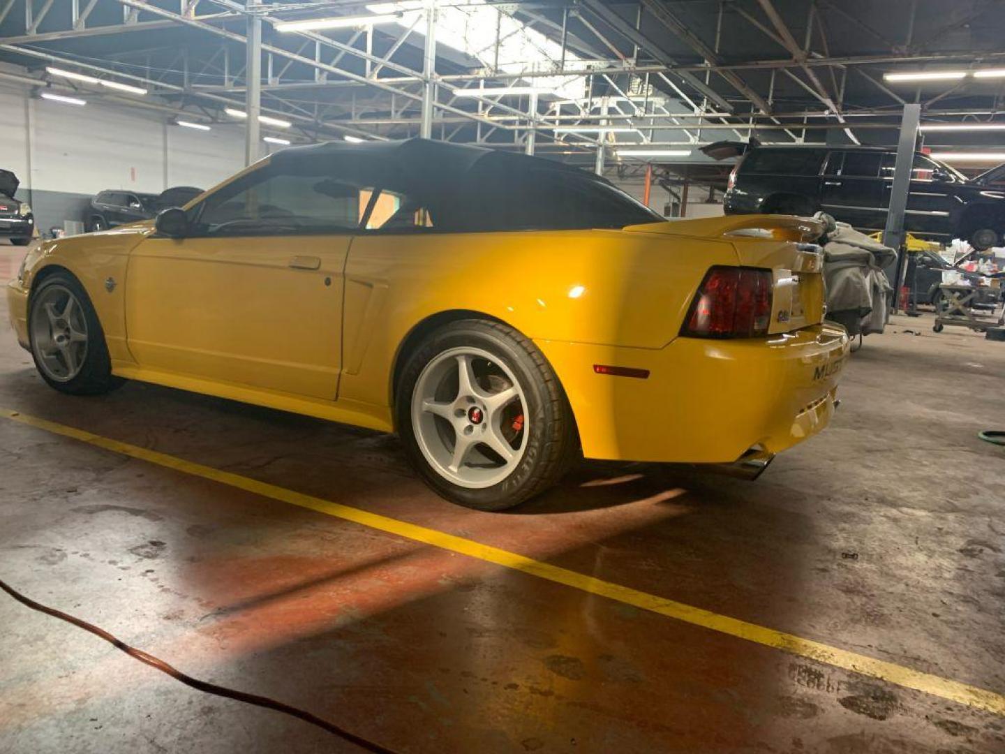 1999 YELLOW FORD MUSTANG GT (1FAFP45X2XF) with an 4.6L engine, 4-Speed Manual transmission, located at 2514 Williamson Rd NE, Roanoke, VA, 24012, (540) 265-7770, 37.294636, -79.936249 - **** CASH ONLY PRICE IS $17000 (NOT INCLUDING SALES TAX, TAGS, TITLING AND PROCESSING FEE) **** ************VEHICLE SHOWN BY APPOINTMENT ONLY********************** This beautiful, well maintained convertible show car is equipped with Kenny Bell Supercharged 4.6 L engine - Photo#4