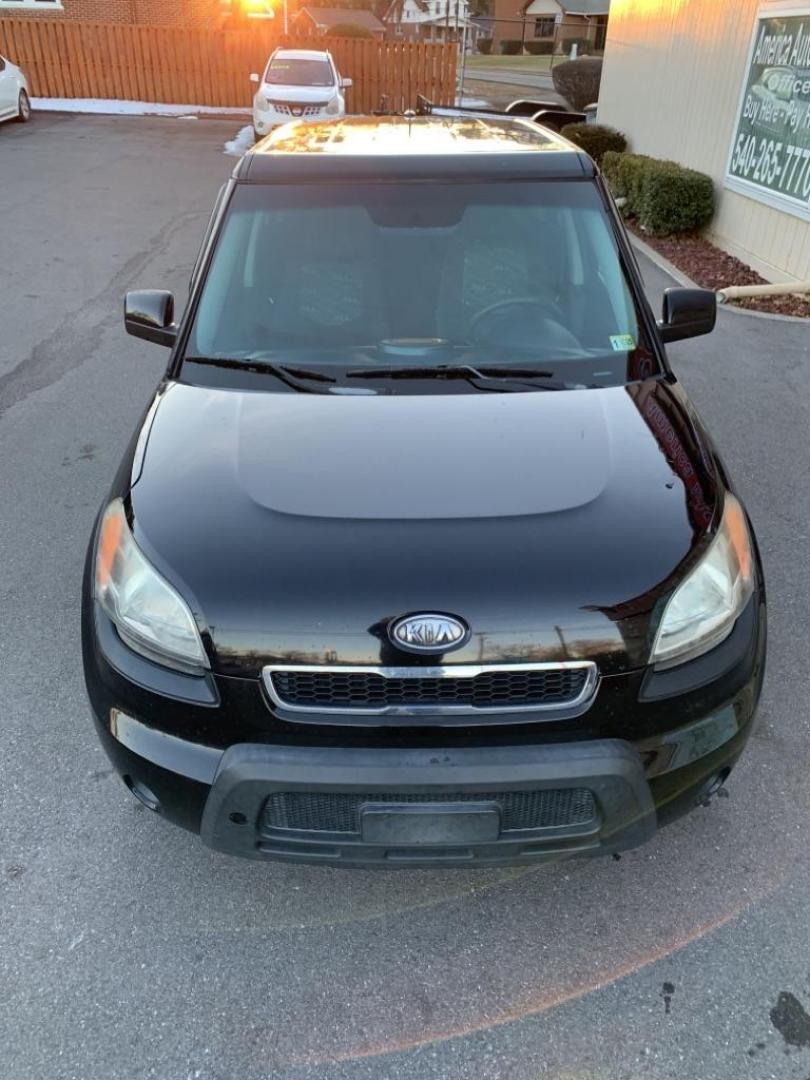 2010 BLACK KIA SOUL + (KNDJT2A26A7) with an 2.0L engine, Automatic transmission, located at 2514 Williamson Rd NE, Roanoke, VA, 24012, (540) 265-7770, 37.294636, -79.936249 - Photo#1