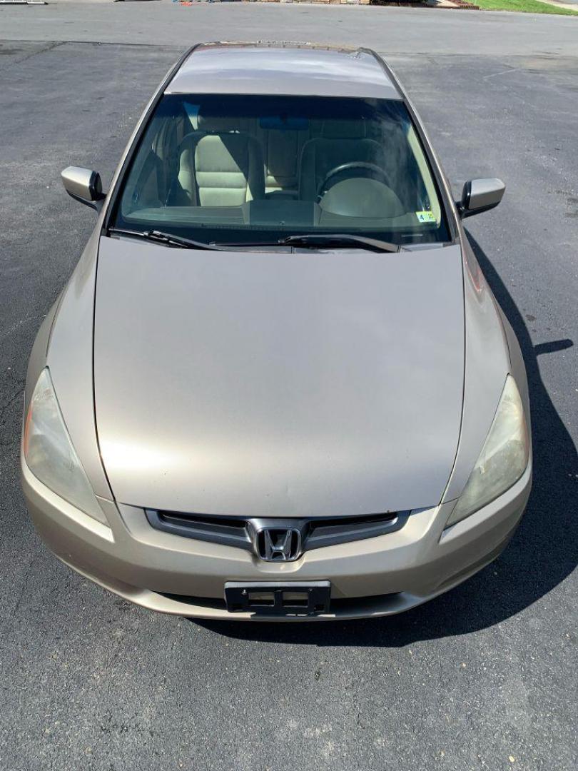 2005 GOLD HONDA ACCORD LX (1HGCM56485A) with an 2.4L engine, Automatic transmission, located at 2514 Williamson Rd NE, Roanoke, VA, 24012, (540) 265-7770, 37.294636, -79.936249 - Photo#8