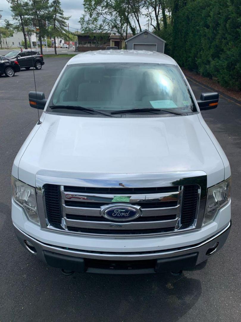 2010 WHITE FORD F150 SUPERCREW (1FTFW1E89AF) with an 4.6L engine, Automatic transmission, located at 2514 Williamson Rd NE, Roanoke, VA, 24012, (540) 265-7770, 37.294636, -79.936249 - Photo#8